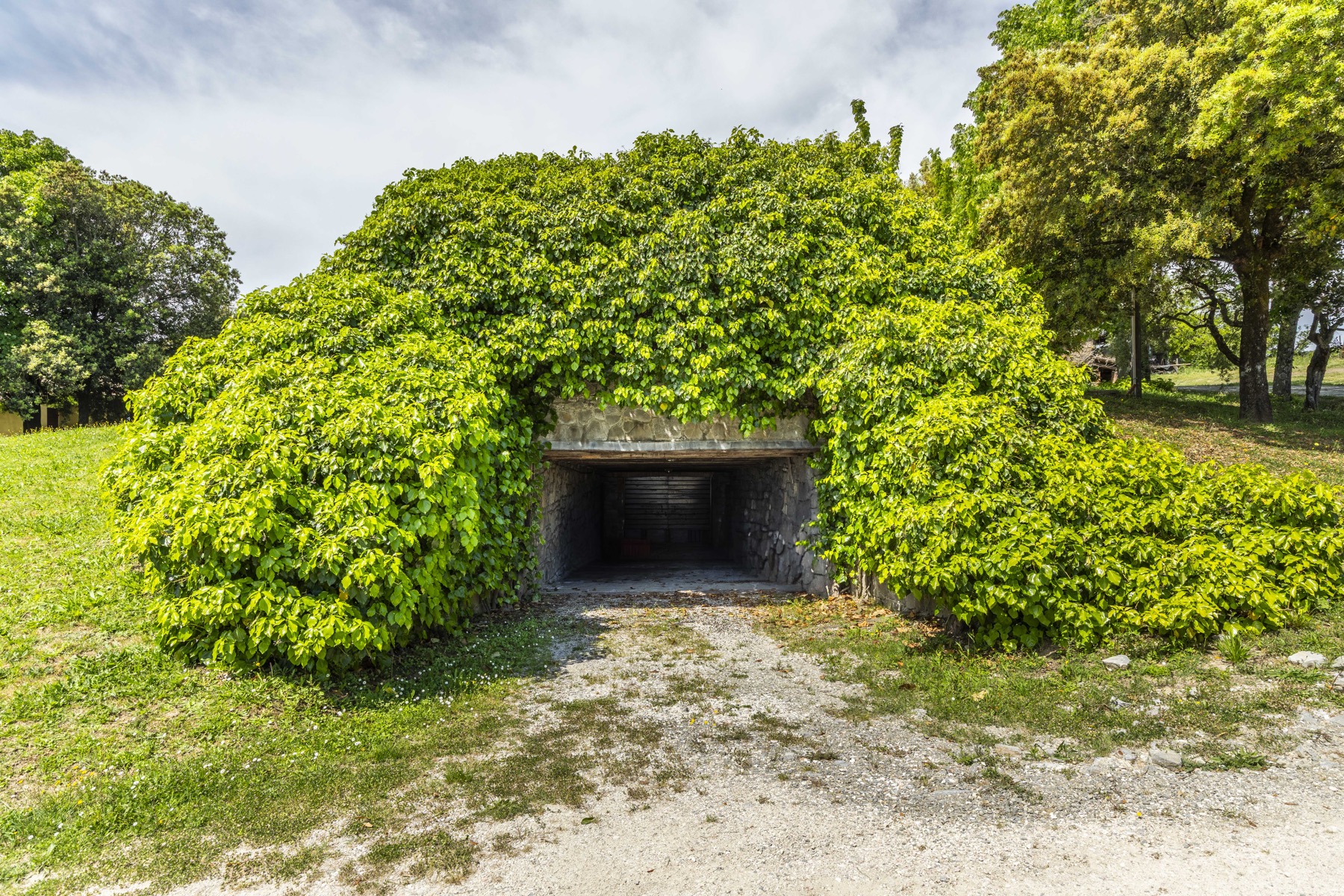 Tenuta La Quarantana, immagine 34