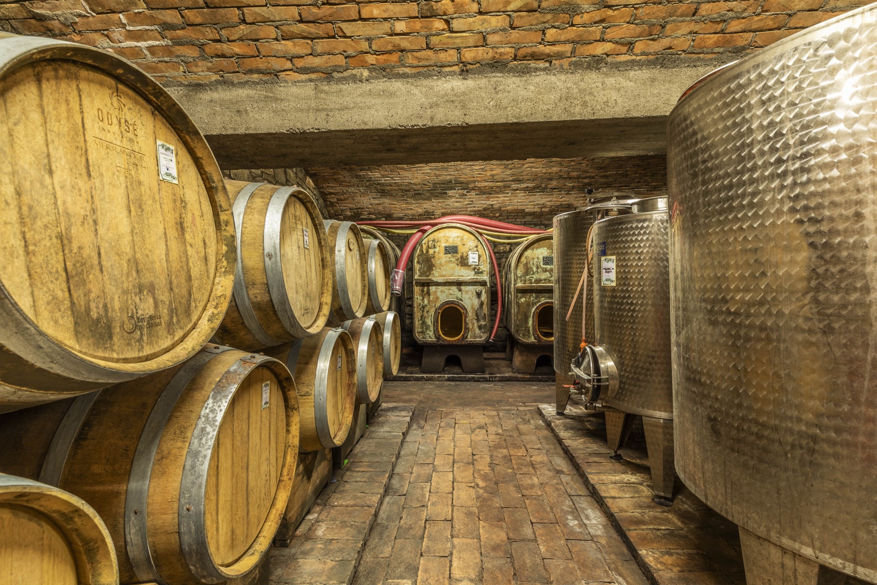 Tenuta La Quarantana, immagine 23
