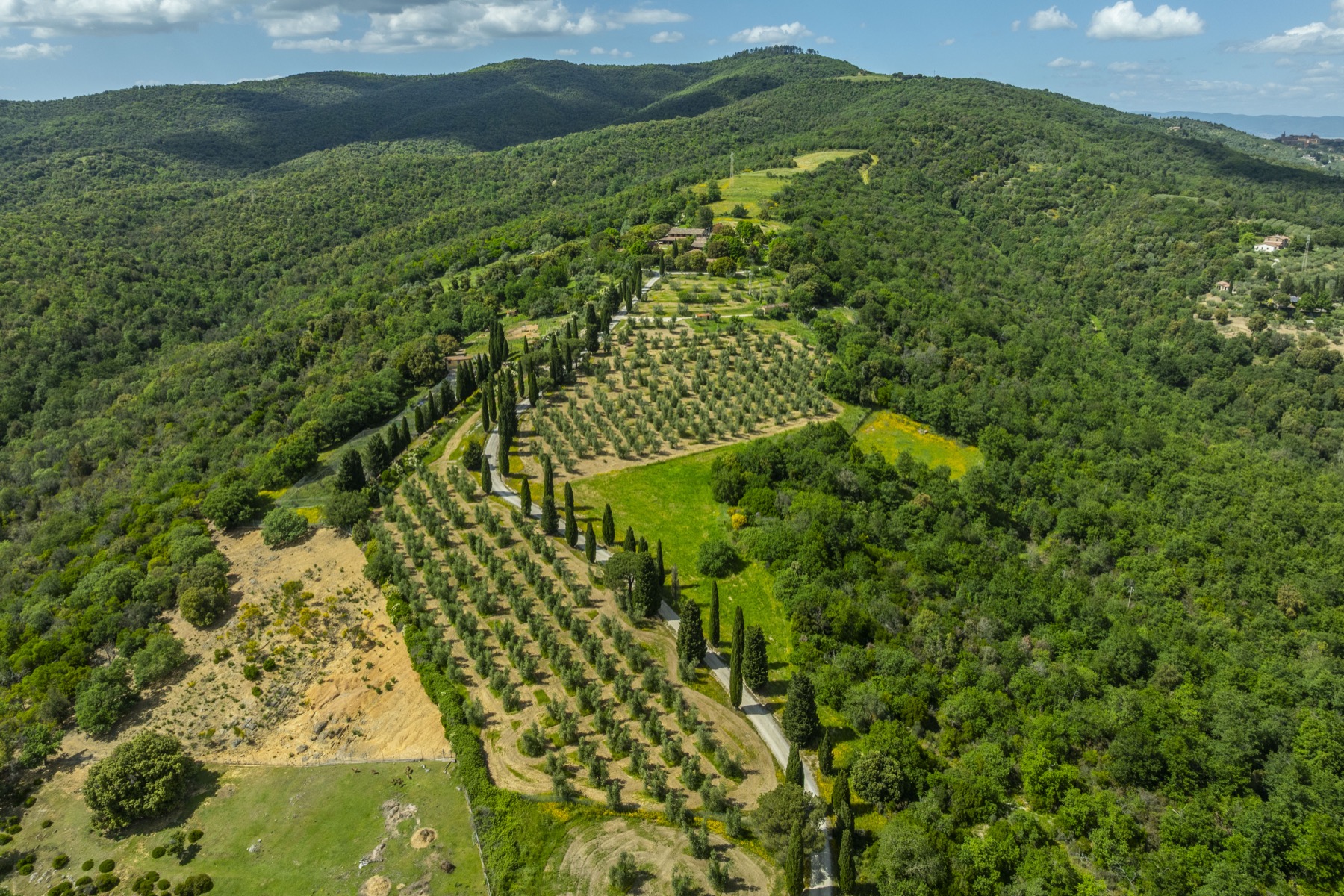 Tenuta La Quarantana, immagine 7
