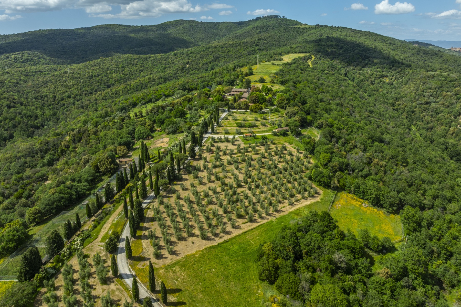 Tenuta La Quarantana, immagine 6
