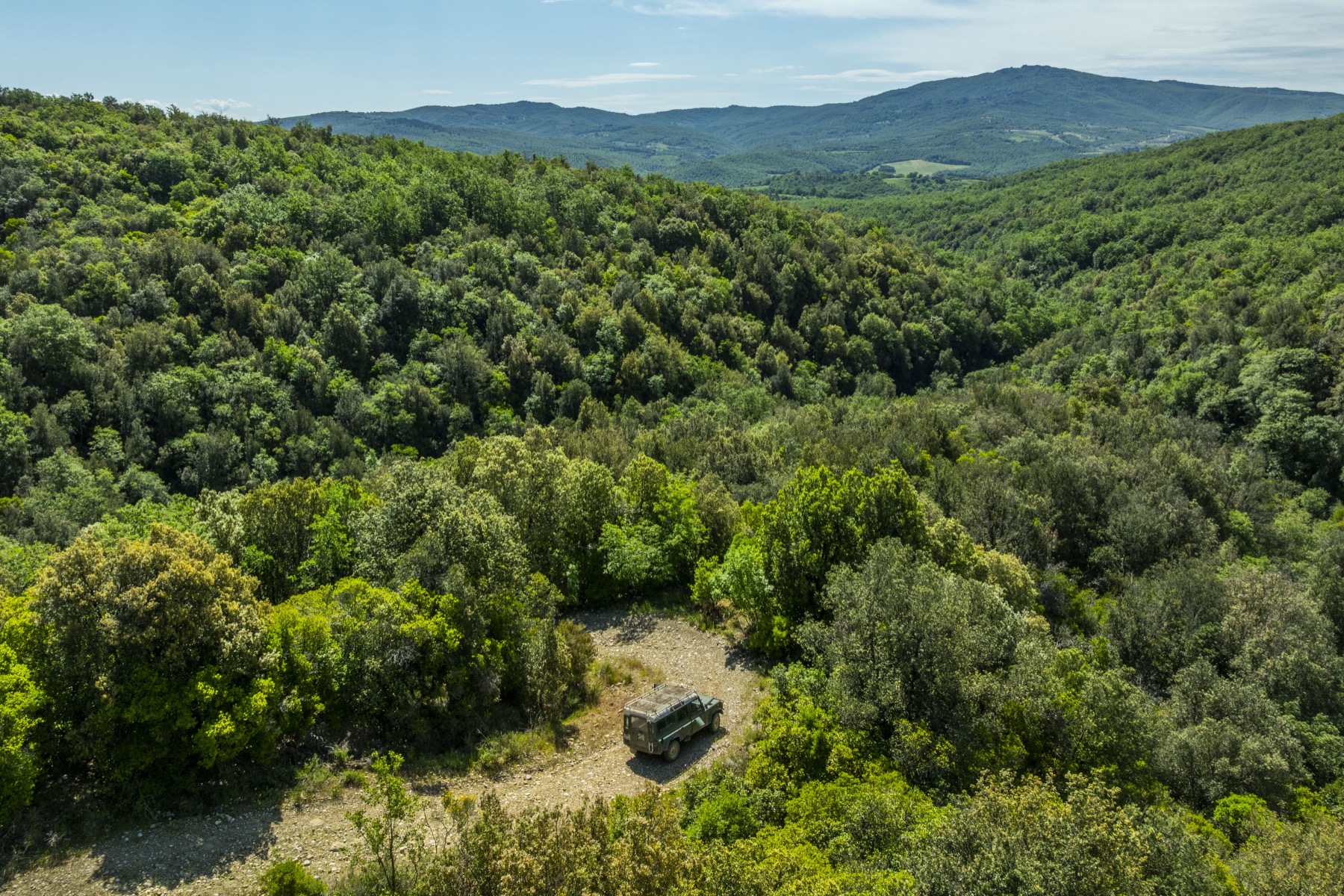 Caccia al tartufo
