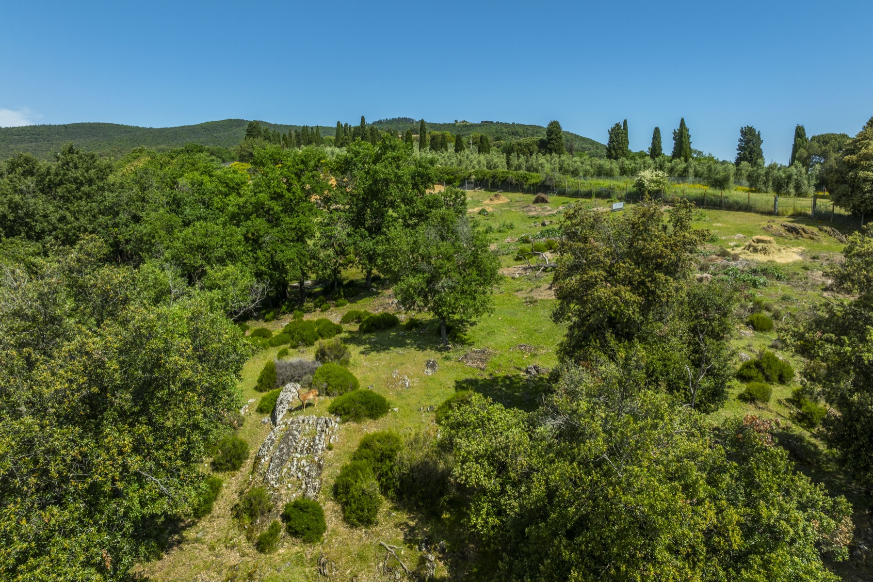 Tenuta La Quarantana, immagine 21