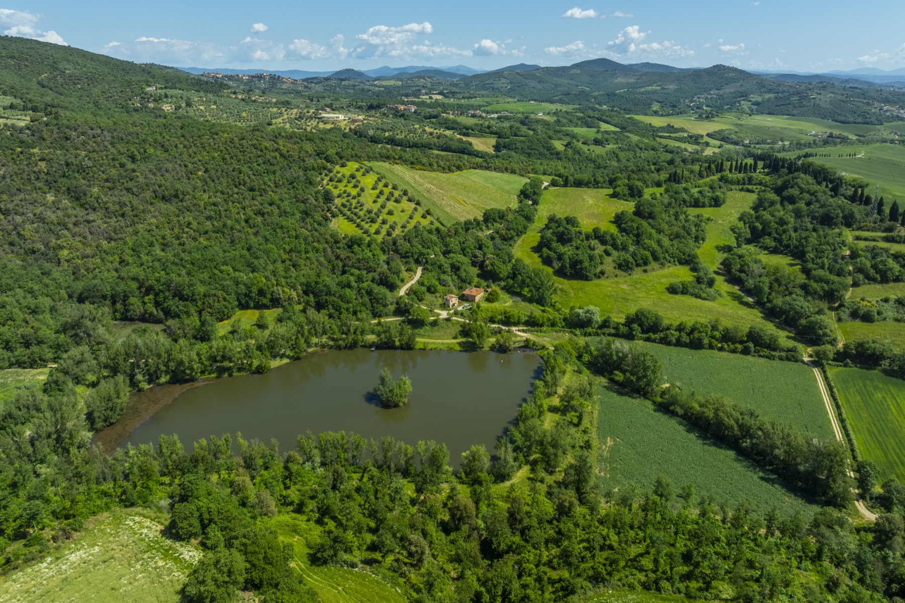 Tenuta La Quarantana, immagine 3