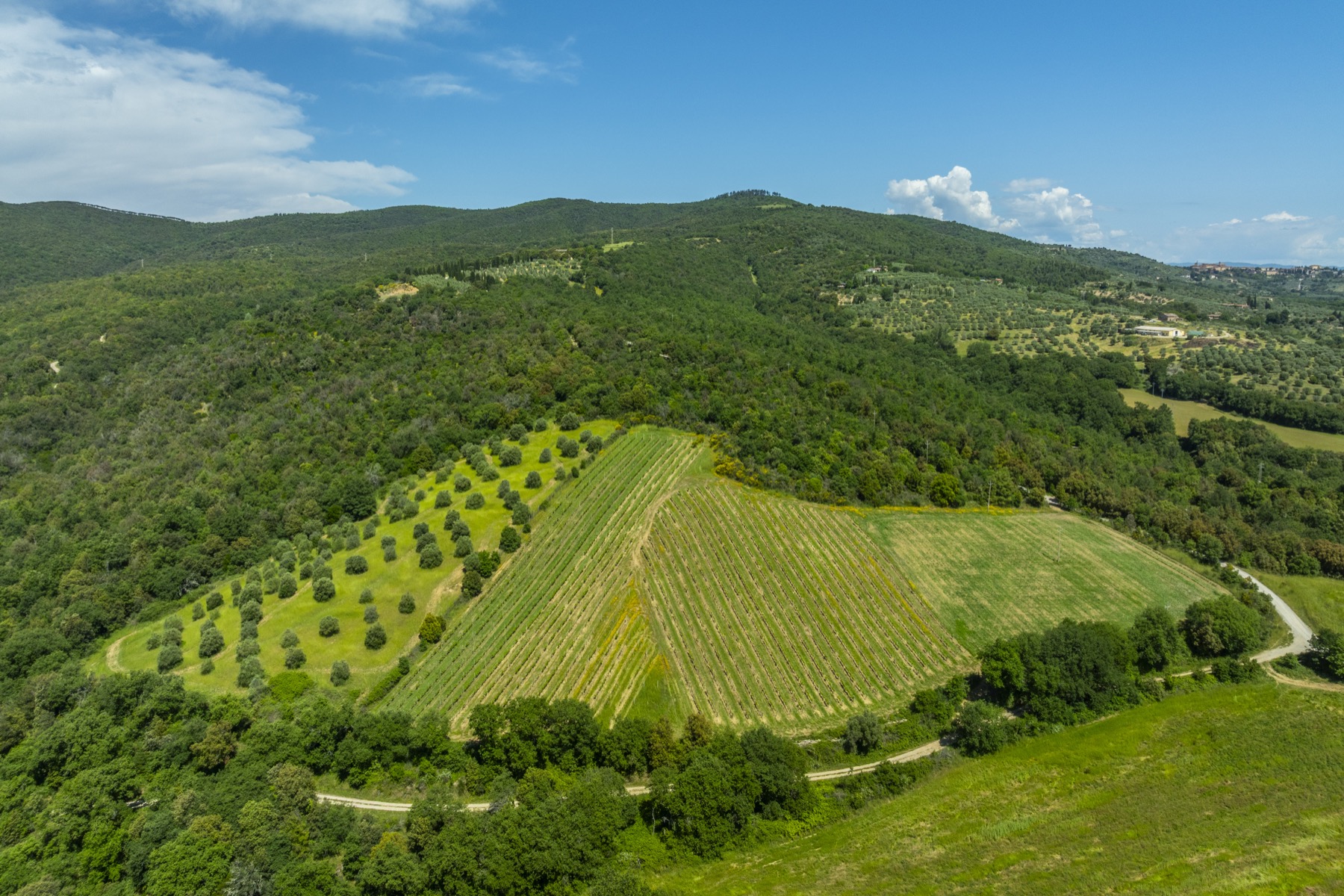 Tenuta La Quarantana, immagine 40